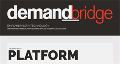 Desktop Screenshot of demandbridge.com