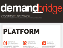 Tablet Screenshot of demandbridge.com